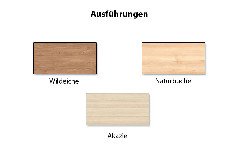 Ausführungsbild