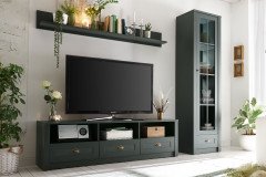 Ascot von Kollektion Letz - Wohnwand 9N NX A3 in Grün